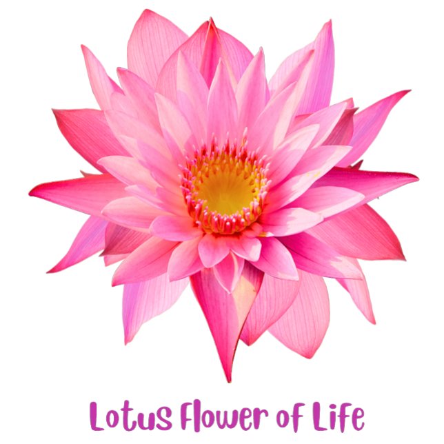 Camiseta Lotus Flower of Life (Criador carregado)