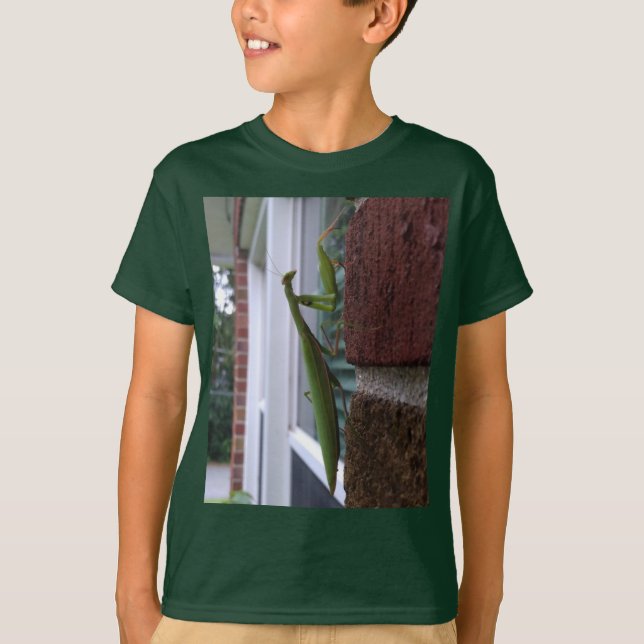Camiseta Louva-a-Deus em Parede de Tijolos (Frente)