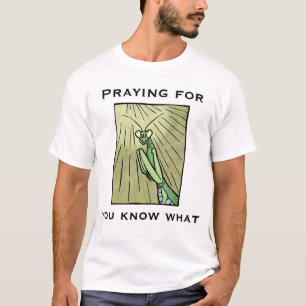 Camiseta Louva-a-Deus Rezando por Você sabe o quê Piada de