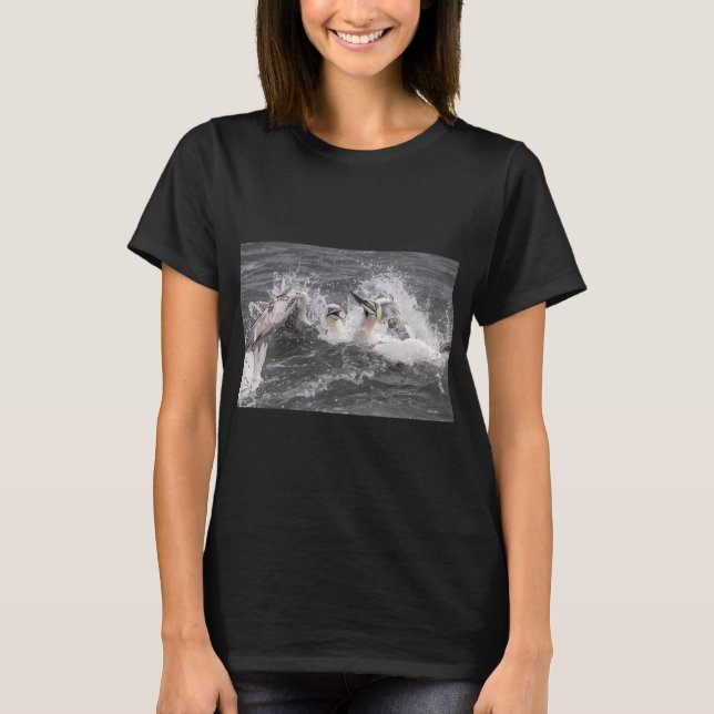 Camiseta Luta de peixes do gannet do norte (Frente)
