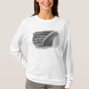 Camiseta Luxemburgo, Cidade de Luxemburgo, Planalto de Kirc