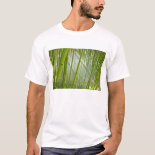 Camiseta Luz da manhã filtrando através do bambu