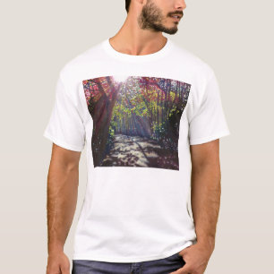 Camiseta Luz dispersada 2013