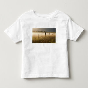 Camiseta Luzes do nascer do sol nevoeiro ao longo da cerca