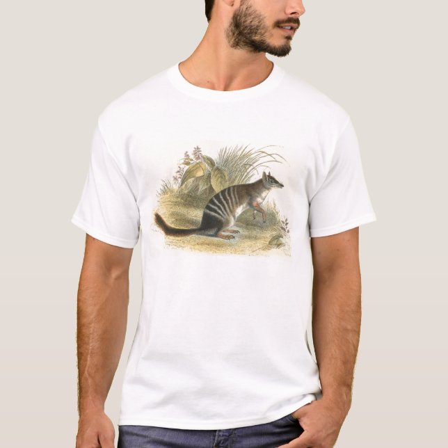 Camiseta Lydekker - Banded Ant-Eater - Números (Frente)