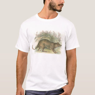 Camiseta Lydekker - Thylacina - Tigre Tasmânico