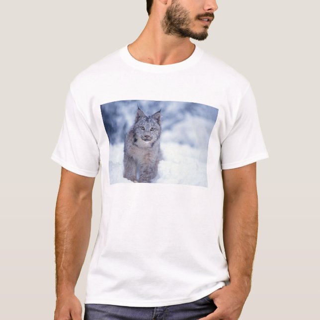 Camiseta Lynx na neve nos sopés (Frente)
