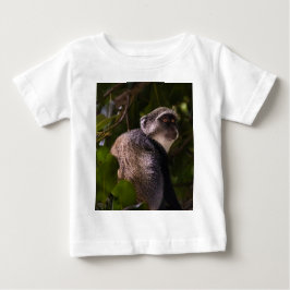 Camiseta Macaco azul, Zanzibar