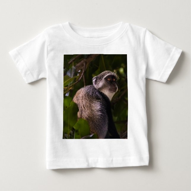 Camiseta Macaco azul, Zanzibar (Frente)