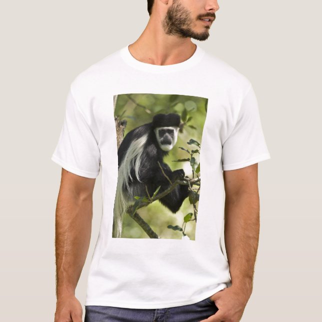 Camiseta Macaco Colobo Preto e Branco (Frente)