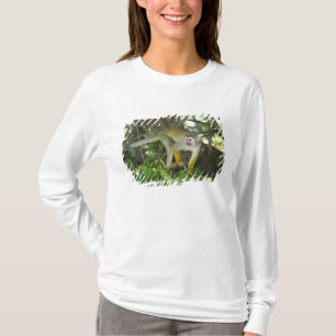 Camiseta Macaco-de-cheiro-comum, (Saimiri sciureus), Rio