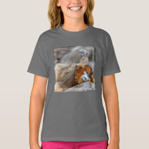 Camiseta Macaco Dourado de Nariz Arrebitado Pai com Bebê