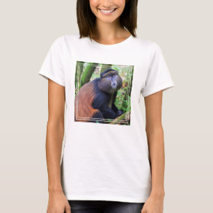 Camiseta Macaco Dourado, Ruanda