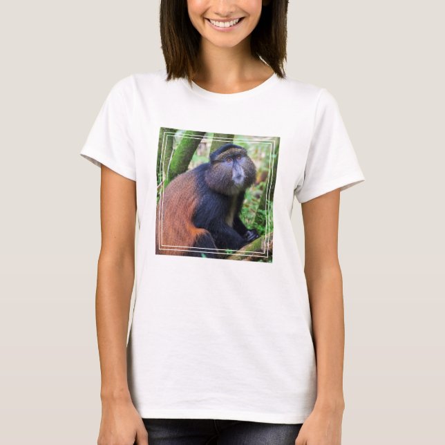 Camiseta Macaco Dourado, Ruanda (Frente)