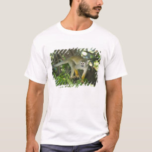 Camiseta Macaco-Esquilo-Comum (Saimiri sciureus), Rio
