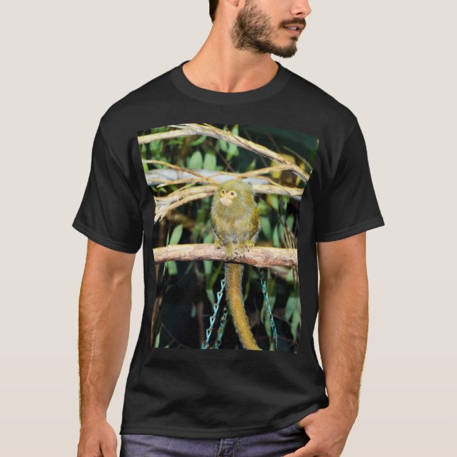 Camiseta Macaco Marmoset Sentado Num Ramo, (Frente)