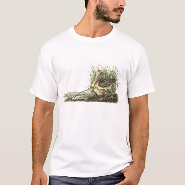 Camiseta maçarico real Longo-faturado por Audubon (Frente)