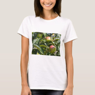 Camiseta Maçãs amadurecidas numa macieira