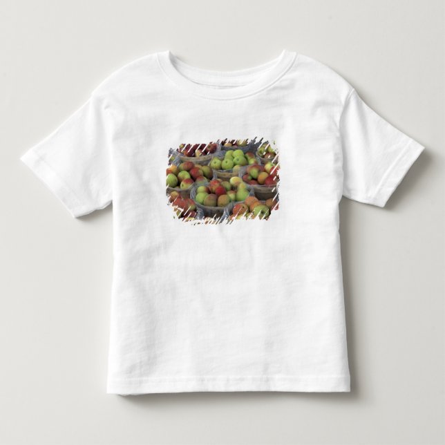 Camiseta maçãs Macintosh do Estado de Nova York em cestas (Frente)