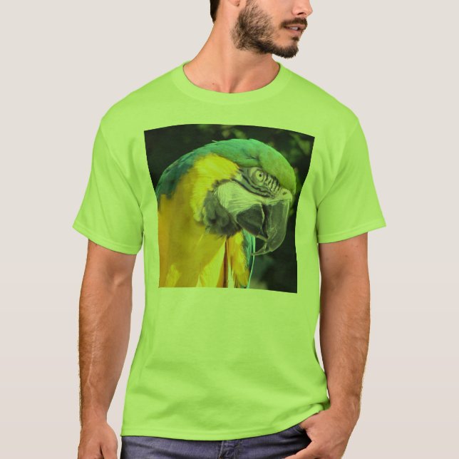 Camiseta Macaw azul e Dourado (Frente)