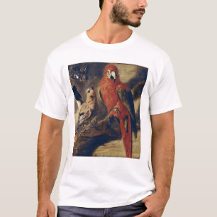 Camiseta Macaw e Bullfinch