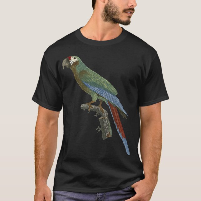 Camiseta Macaw Militar excelente (Frente)