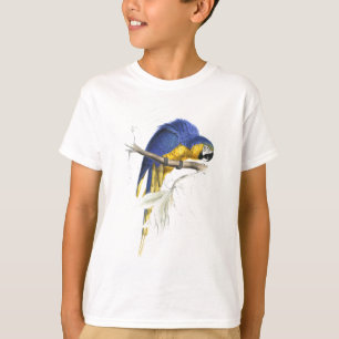 Camiseta Maccaw azul e amarelo por Edward Lear