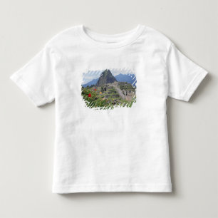 Camiseta Machu Picchu, Peru