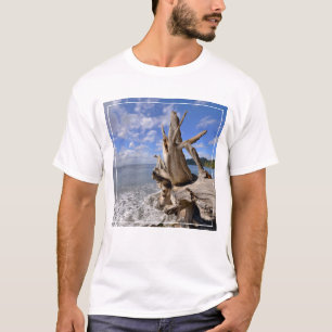 Camiseta Madeira lançada costa na linha costeira de praia