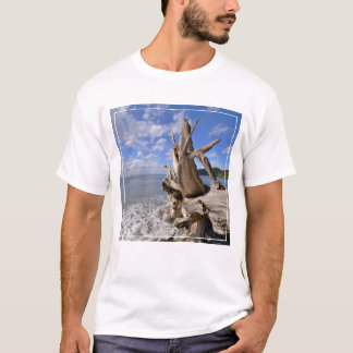 Camiseta Madeira lançada costa na linha costeira de praia