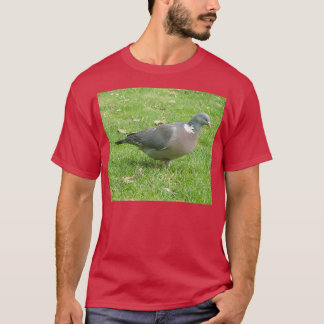 Camiseta Madeira Pombo Pigeon Aves Selvagem Fotografia Retr