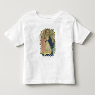 Camiseta Madonna e a criança enthroned com santos, detalha