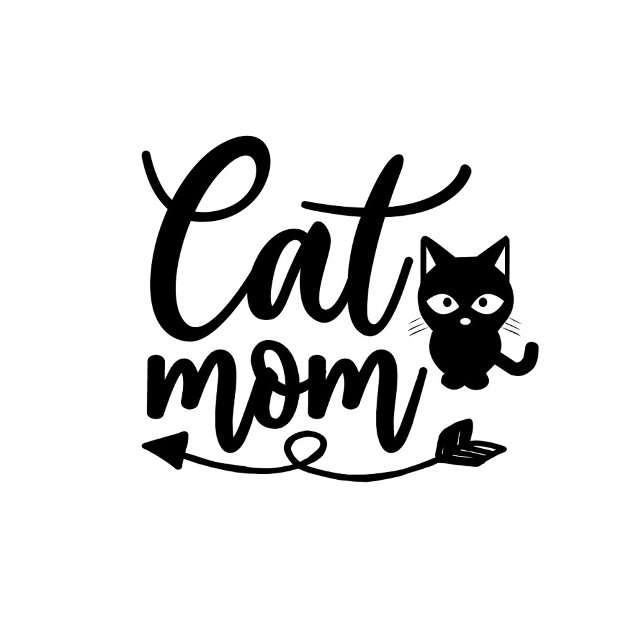 Camiseta Mãe de Gato  (A playful, animated scene unfolds with a close-up of a white t-shirt featuring a whimsical design.)