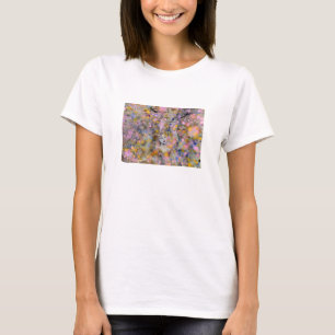 Camiseta Mágica feericamente