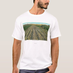 Camiseta MaineView de uma fazenda da batata em Maine