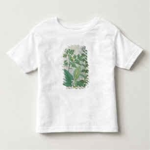 Camiseta Maior Celandine ou papoila