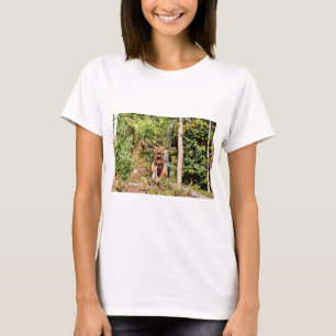 Camiseta Male Elk no Rocky Mountain National Park, Colorado