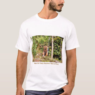 Camiseta Male Elk no Rocky Mountain National Park, Colorado