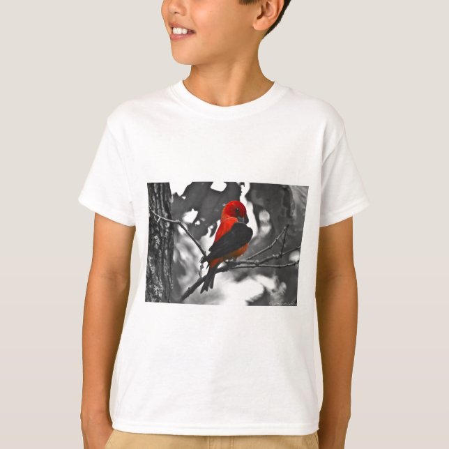 Camiseta Male Scarlet Tanager (Frente)