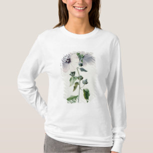 Camiseta Mallow de Musk, século XVIII