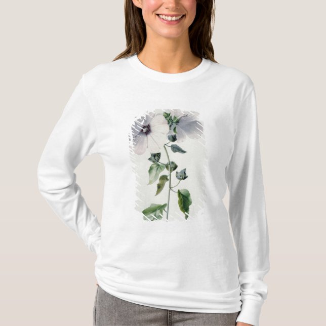 Camiseta Mallow de Musk, século XVIII (Frente)