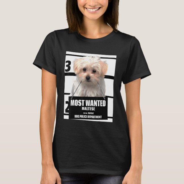 Camiseta Maltês mais procurado (Frente)