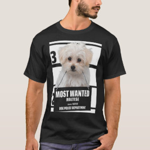 Camiseta Maltesa Mais Desejada - Camisetas De Cach