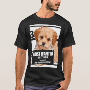 Camiseta Maltipoo Mais Desejado - Poodle Miniatura Maltesa