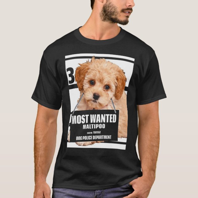Camiseta Maltipoo Mais Desejado - Poodle Miniatura Maltesa  (Frente)