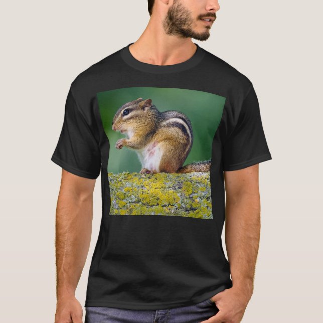 Camiseta Mamãe Esquilo (Frente)