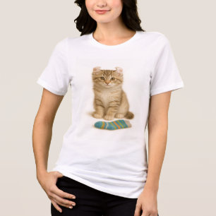 Camiseta Mande-o para mim - American Curl Kitten Edition