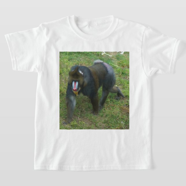Camiseta Mandrill #5 (Postura )