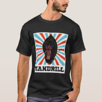 Mandrill Biólogo Primate África Professor Mandrill