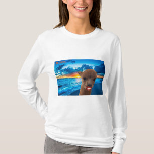 Camiseta manga comprida, mulheres de teia básica